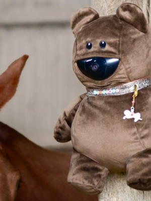 Oskkio - Mr. Teddy Bear